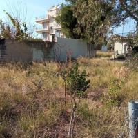 ΠΩΛΗΣΗ ΟΙΚΟΠΕΔΟ ΑΝΩ ΛΙΟΣΙΑ 151ΤΜ 30000ΕΥΡΩ