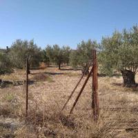 ΠΩΛΗΣΗ ΟΙΚΟΠΕΔΟ ΑΙΓΙΝΑ 1750ΤΜ 60000ΕΥΡΩ